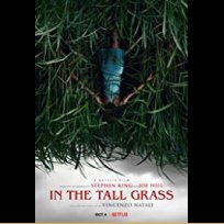 In the Tall Grass (2019)